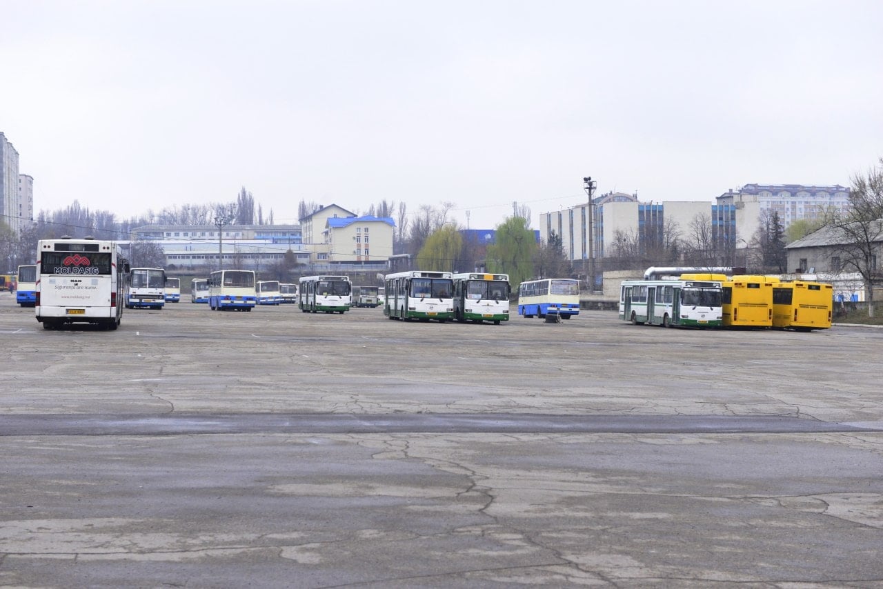 ion_ceban_autobuze_