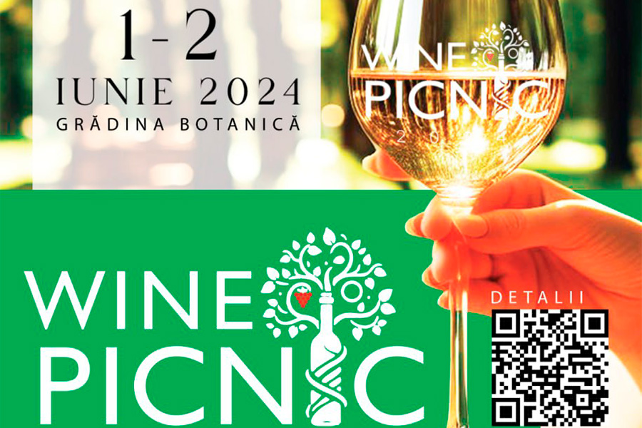 ion_ceban_wine_picnic