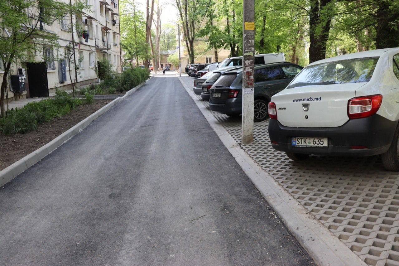 ion_ceban_curtii